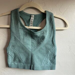 ALO Yoga Teal Crop Top